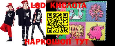 крисы Дубна