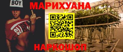 крисы Дубна